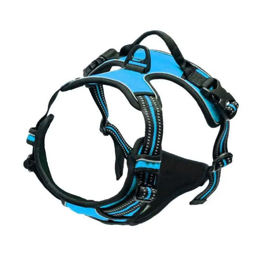 No-Pull Safety Harness