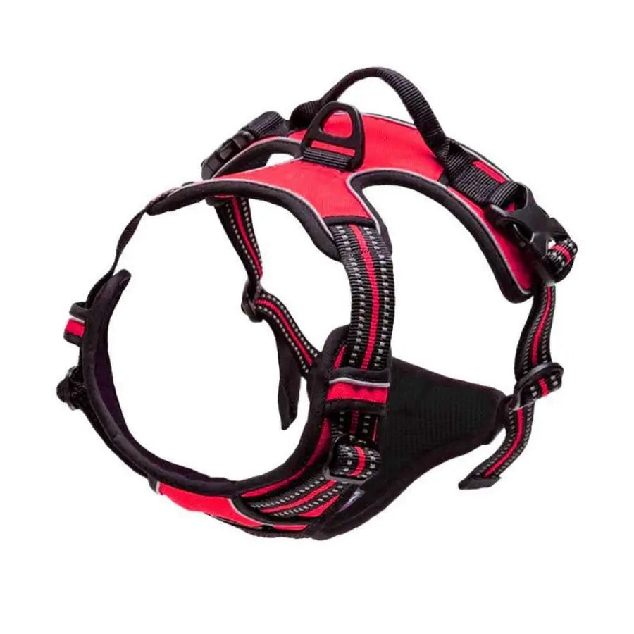 No-Pull Safety Harness