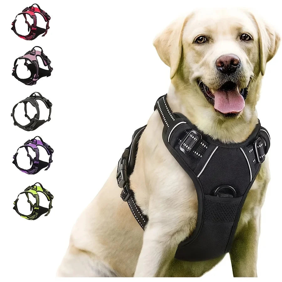 No-Pull Safety Harness