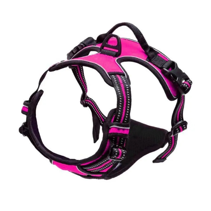 No-Pull Safety Harness