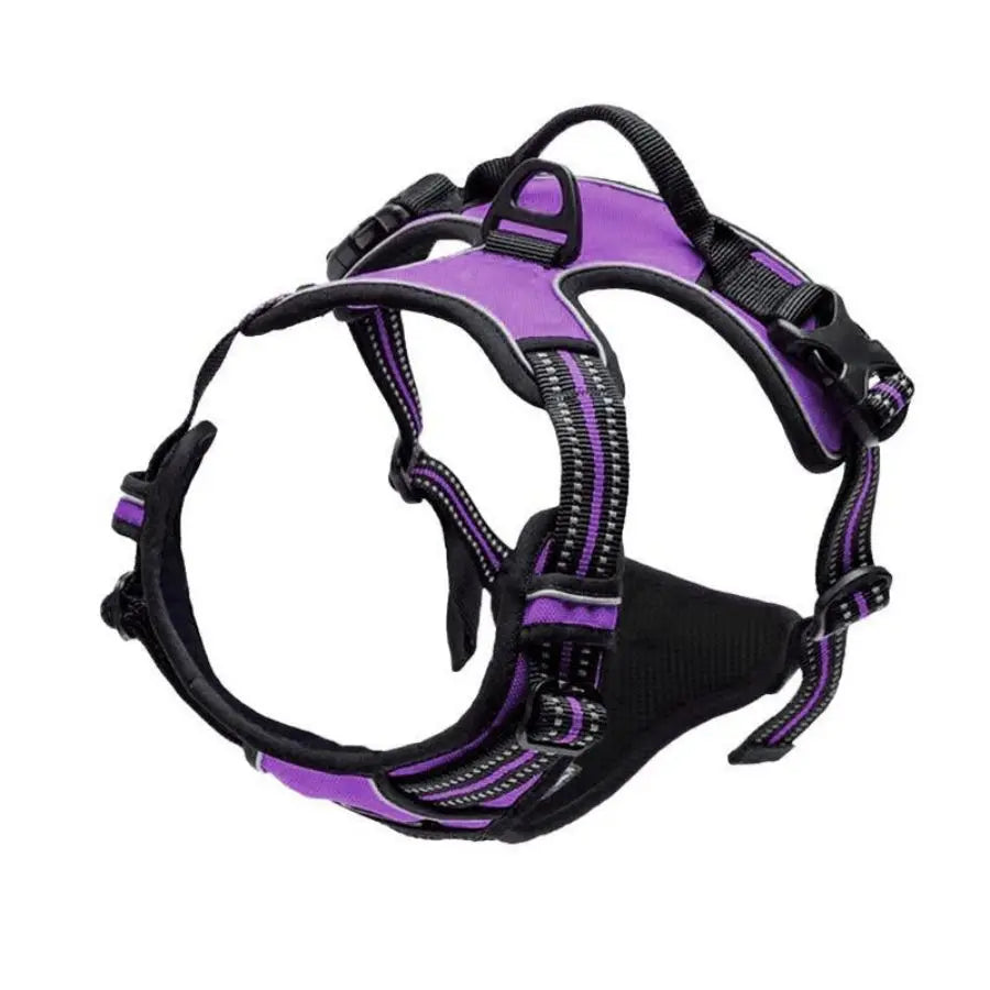 No-Pull Safety Harness