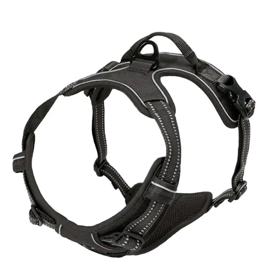 No-Pull Safety Harness