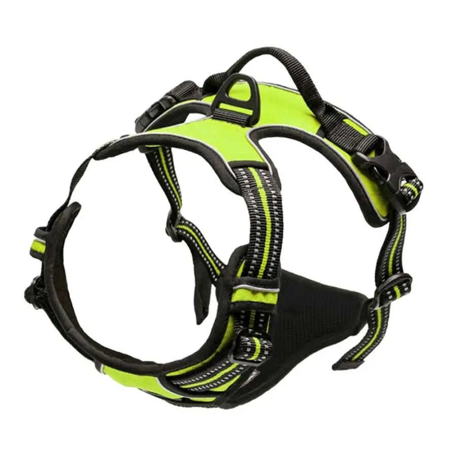 No-Pull Safety Harness