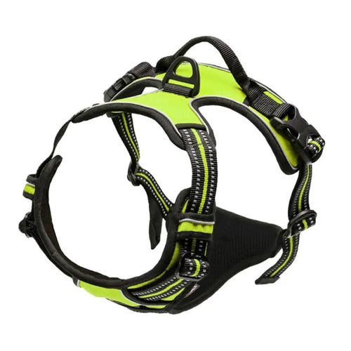 No-Pull Safety Harness