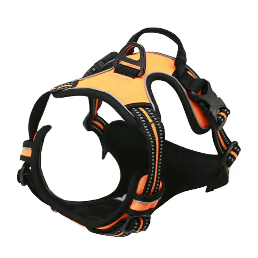 No-Pull Safety Harness